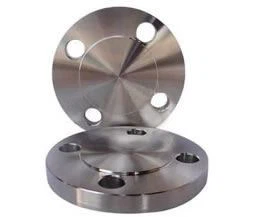 Blind Flange pictue