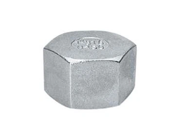 Stainless Steel Hexagon Hex Threaded Pipe Cap