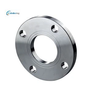Plate Flange FF